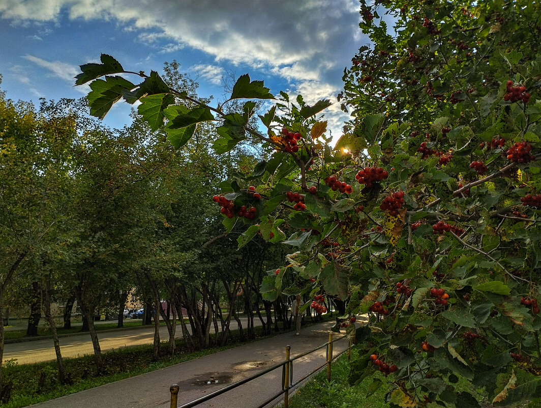 Последний глоток уходящего лета пьянит, как сухое вино - Дмитрий Костоусов