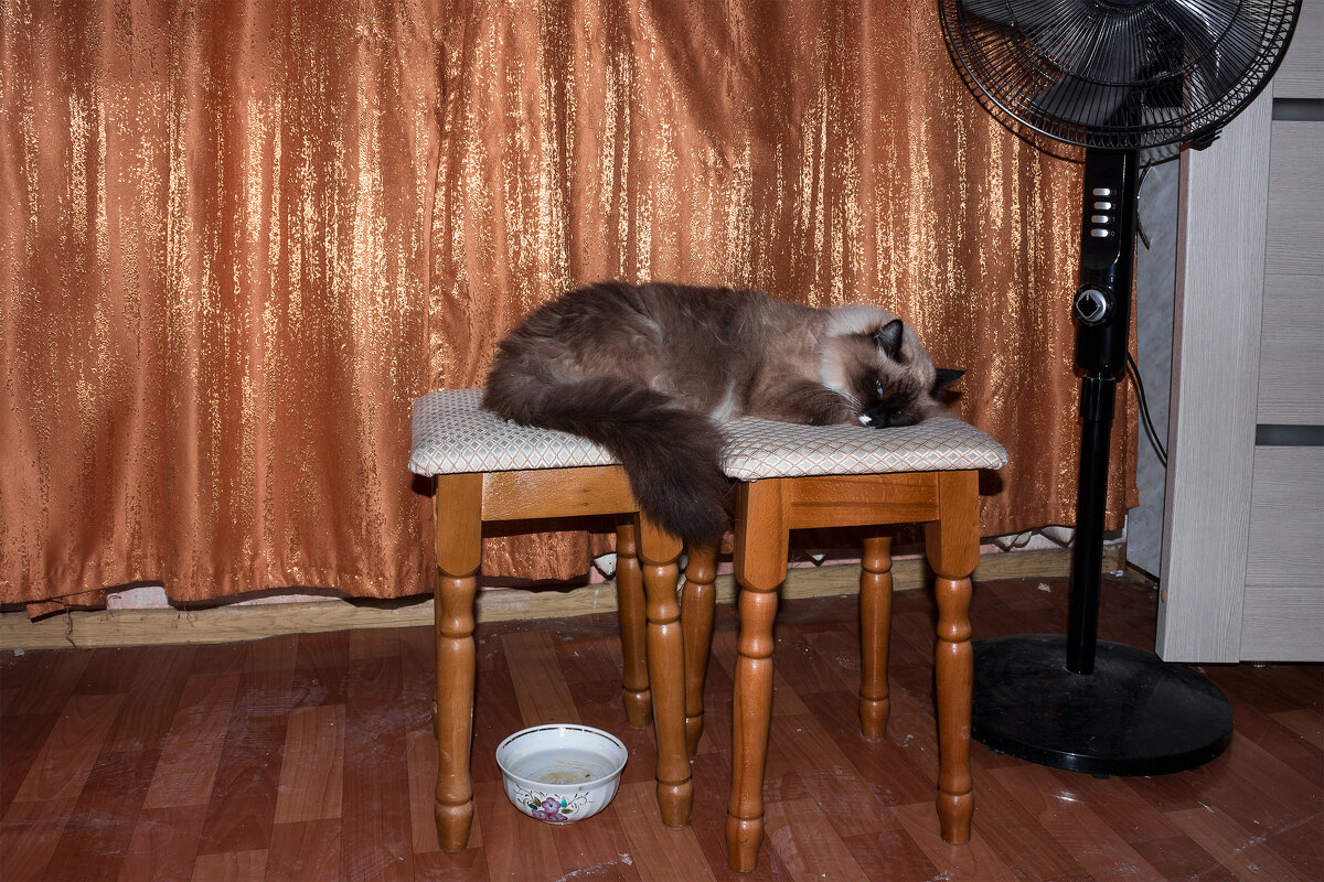 Хорошо устроился - Дмитрий Костоусов