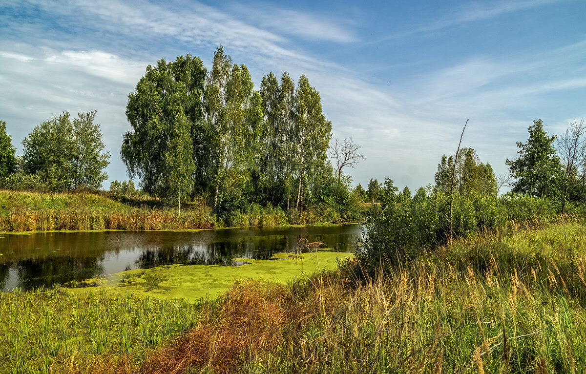 На исходе лета 4 - Андрей Дворников