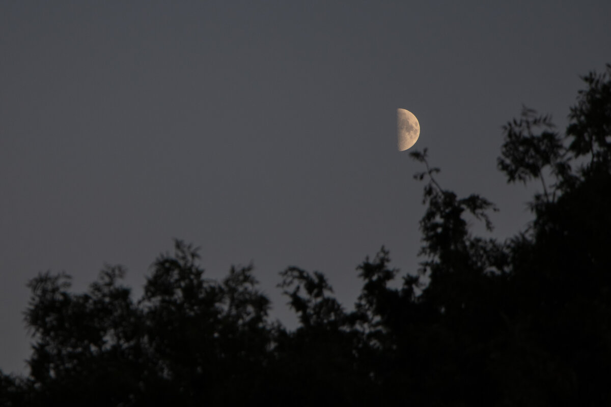 Вечереет... - Дмитрий А