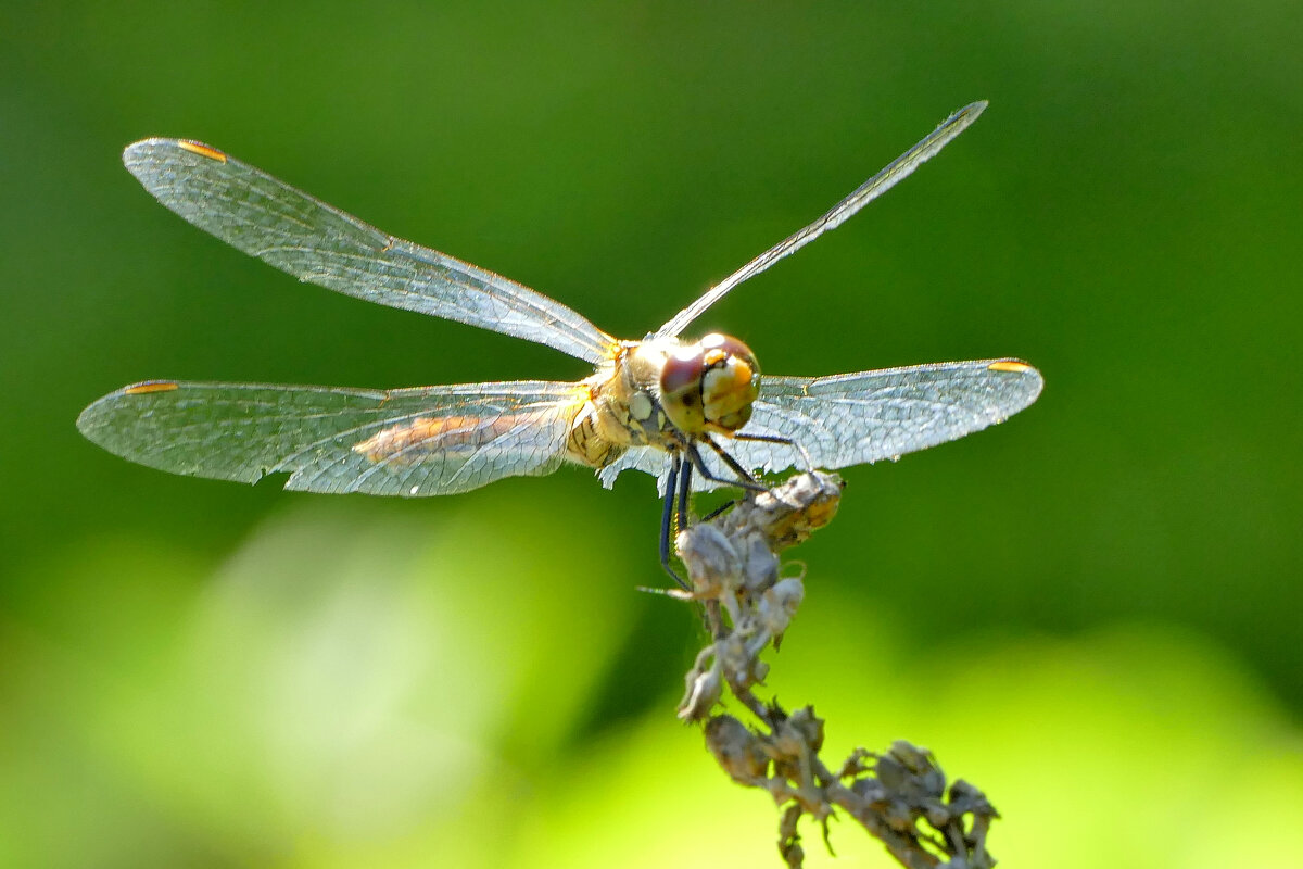 из снятого позапозавчера 2 - Александр Прокудин из снятого позапозавчера 2 - Александр Прокудин