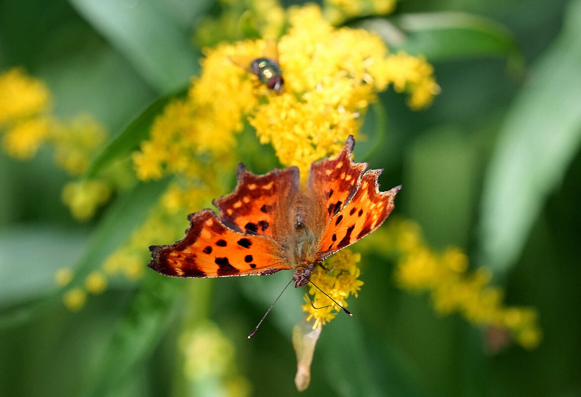 из снятого позапозавчера 3 - Александр Прокудин