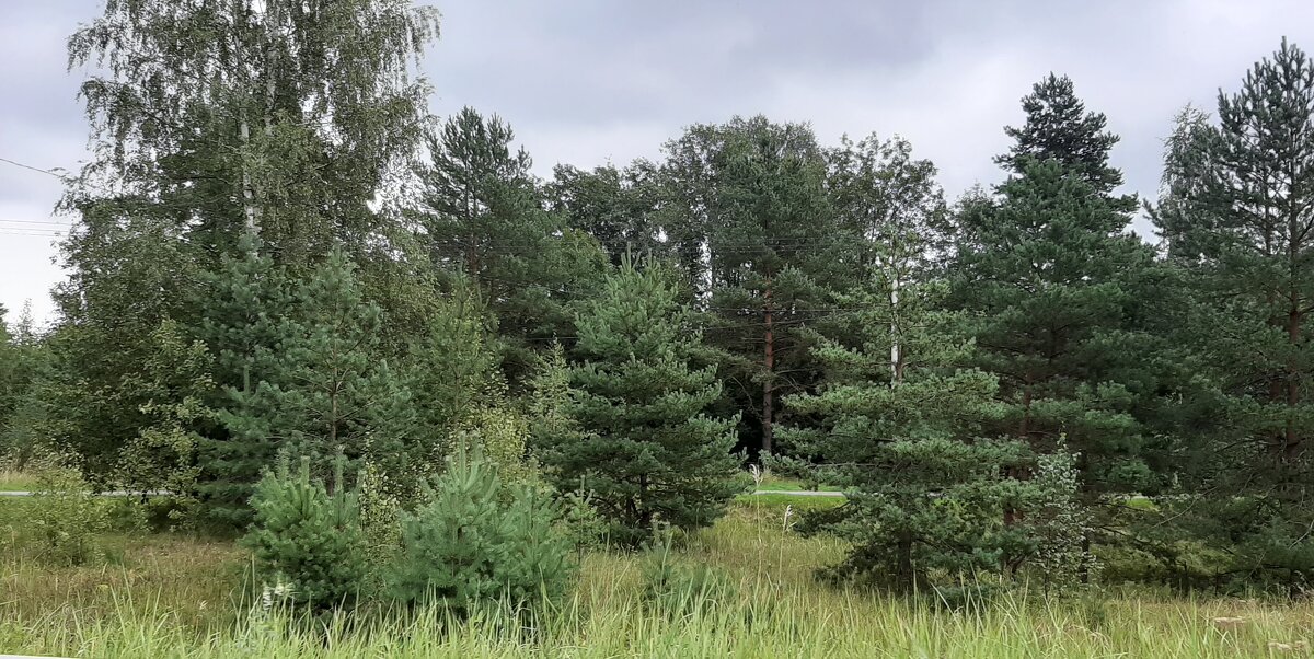 Последний день лета - Наталья Герасимова