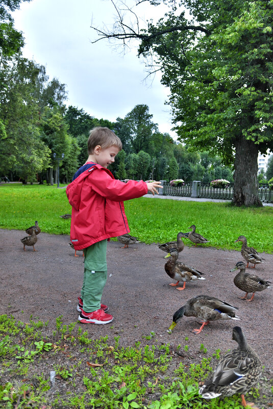 ... - ВЛАДИМИР 