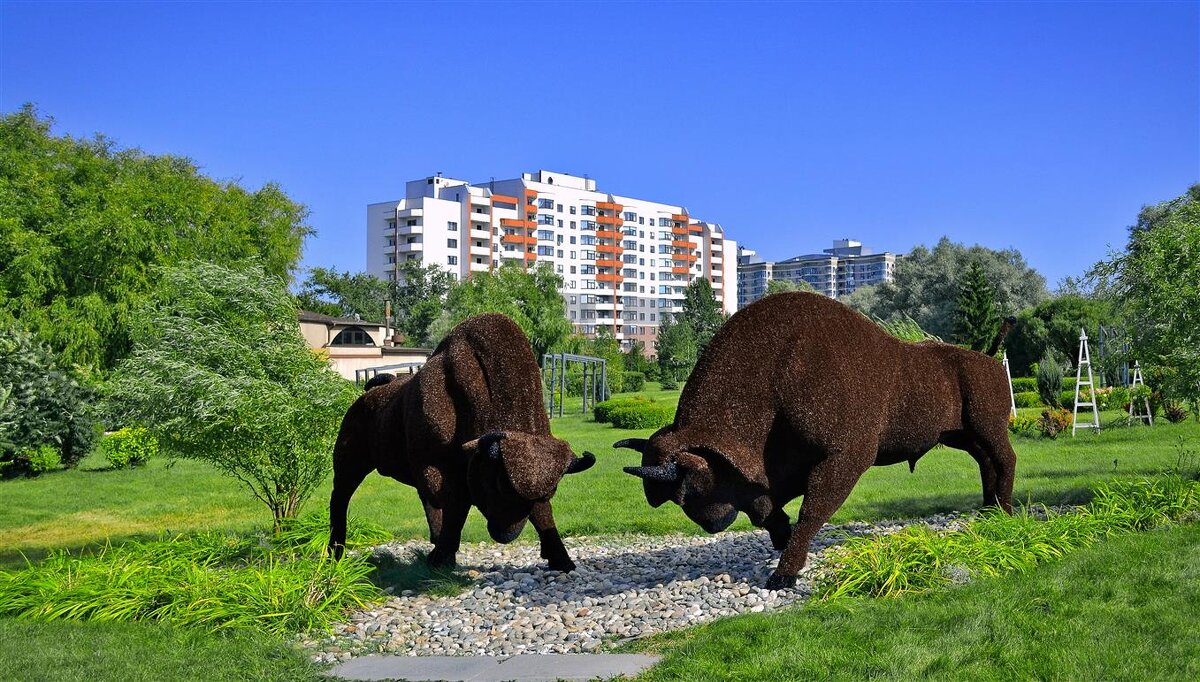 Топиарная жанровая скульптура «Зубры» - Глeб ПЛATOB