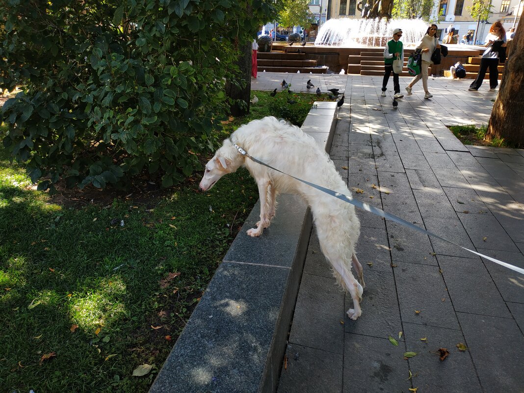 Длинноногая блондинка - Андрей Лукьянов