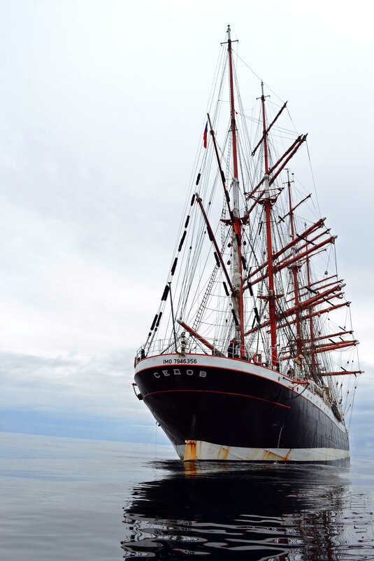 Штиль - Ольга 