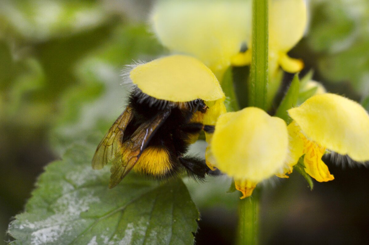 "...с головой в работе..." - Надежда Куркина 