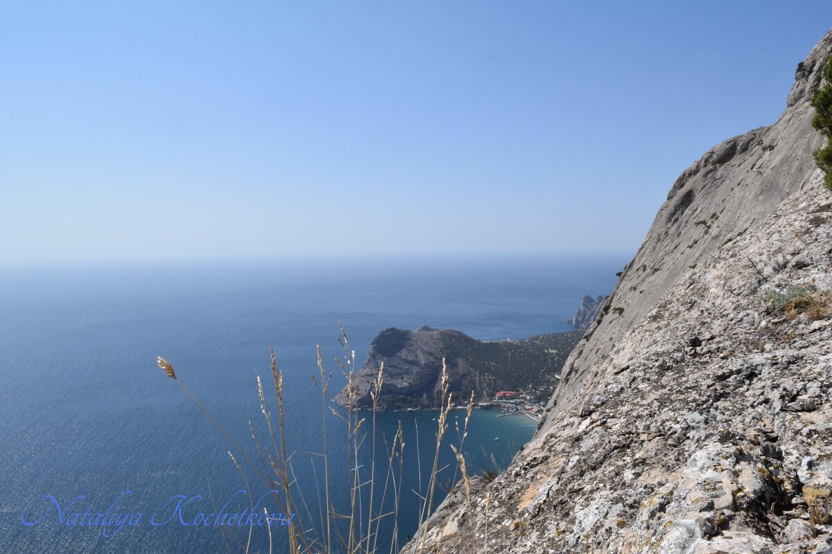 Природа Крыма - Amazing Cosmea