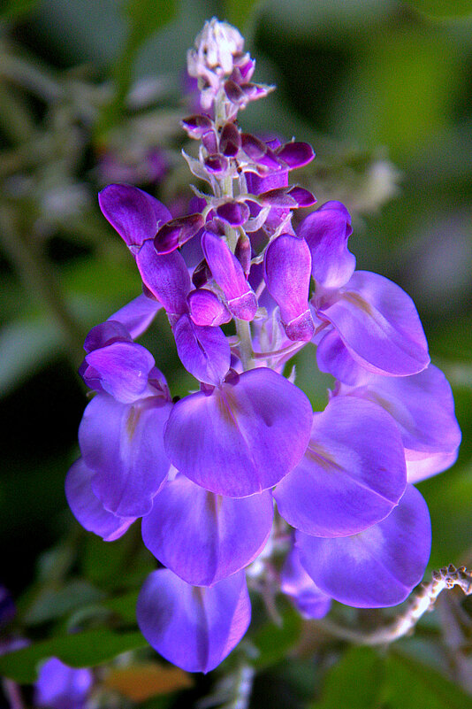 ** - Vlad Сергиевич