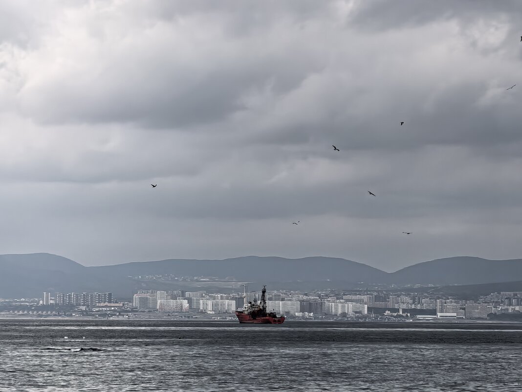 Судно на рейде - Татьяна Михайлова