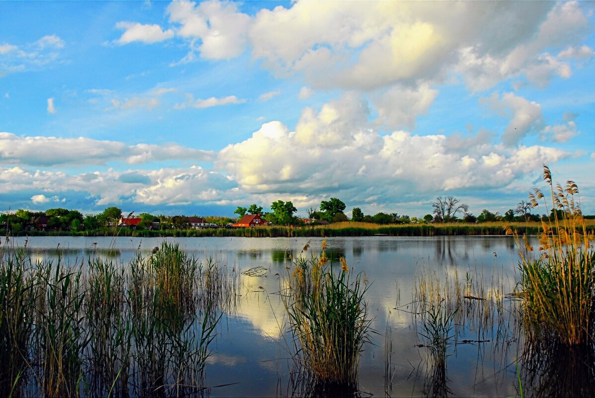 Вечереет. - Владимир 