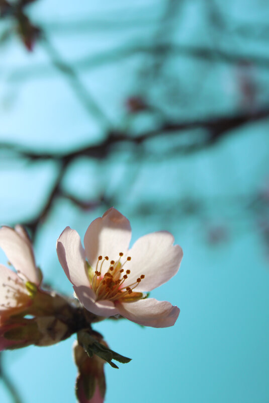 *** - Яна Горбунова