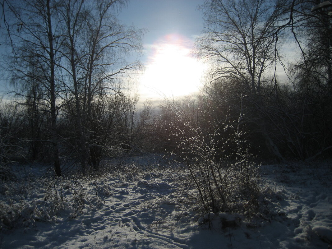 Утро - Anna Ivanova