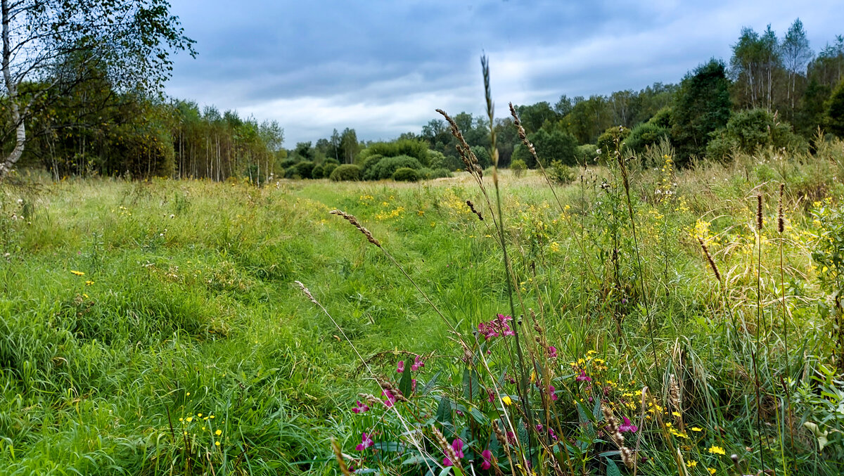 Сентябрь. - Владимир Безбородов