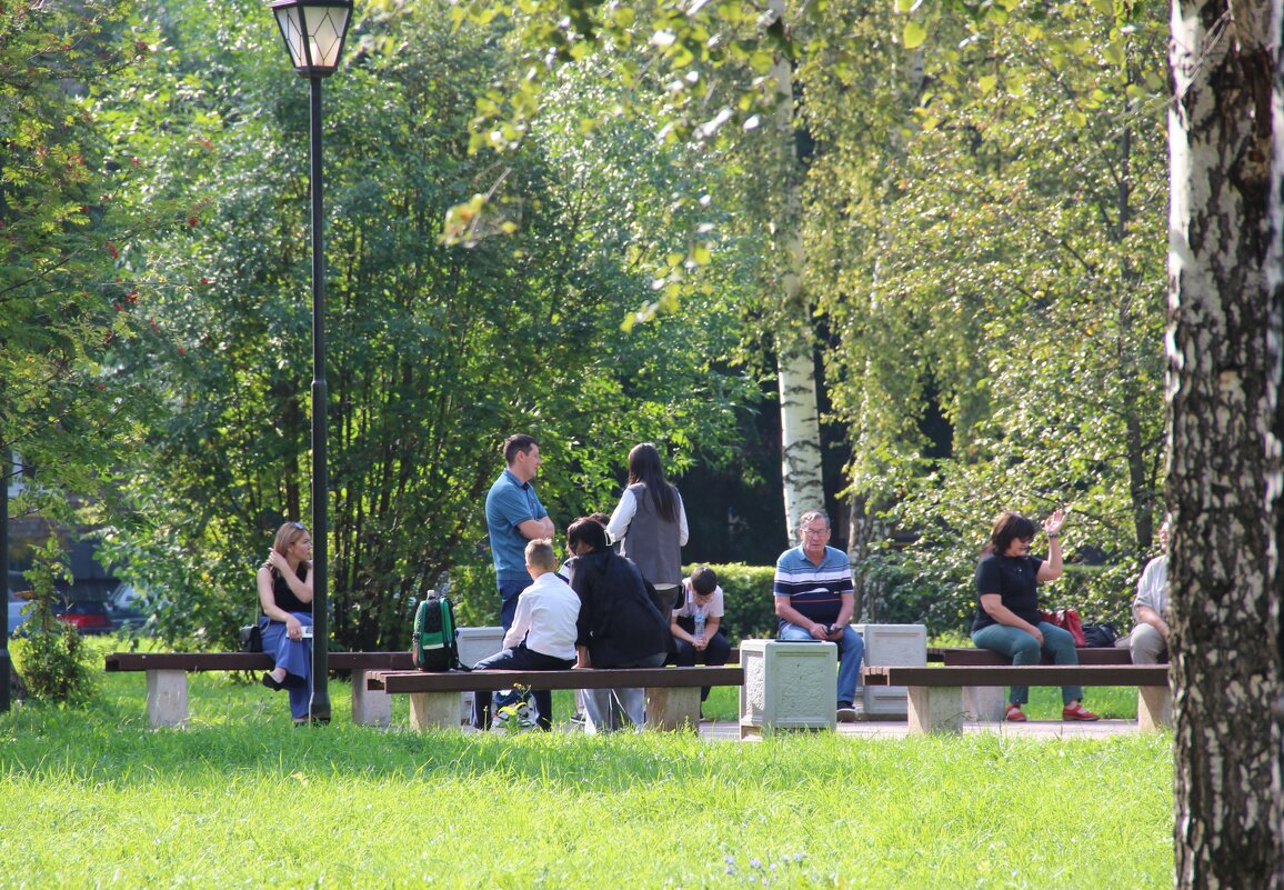 Роща. - Венера Чуйкова