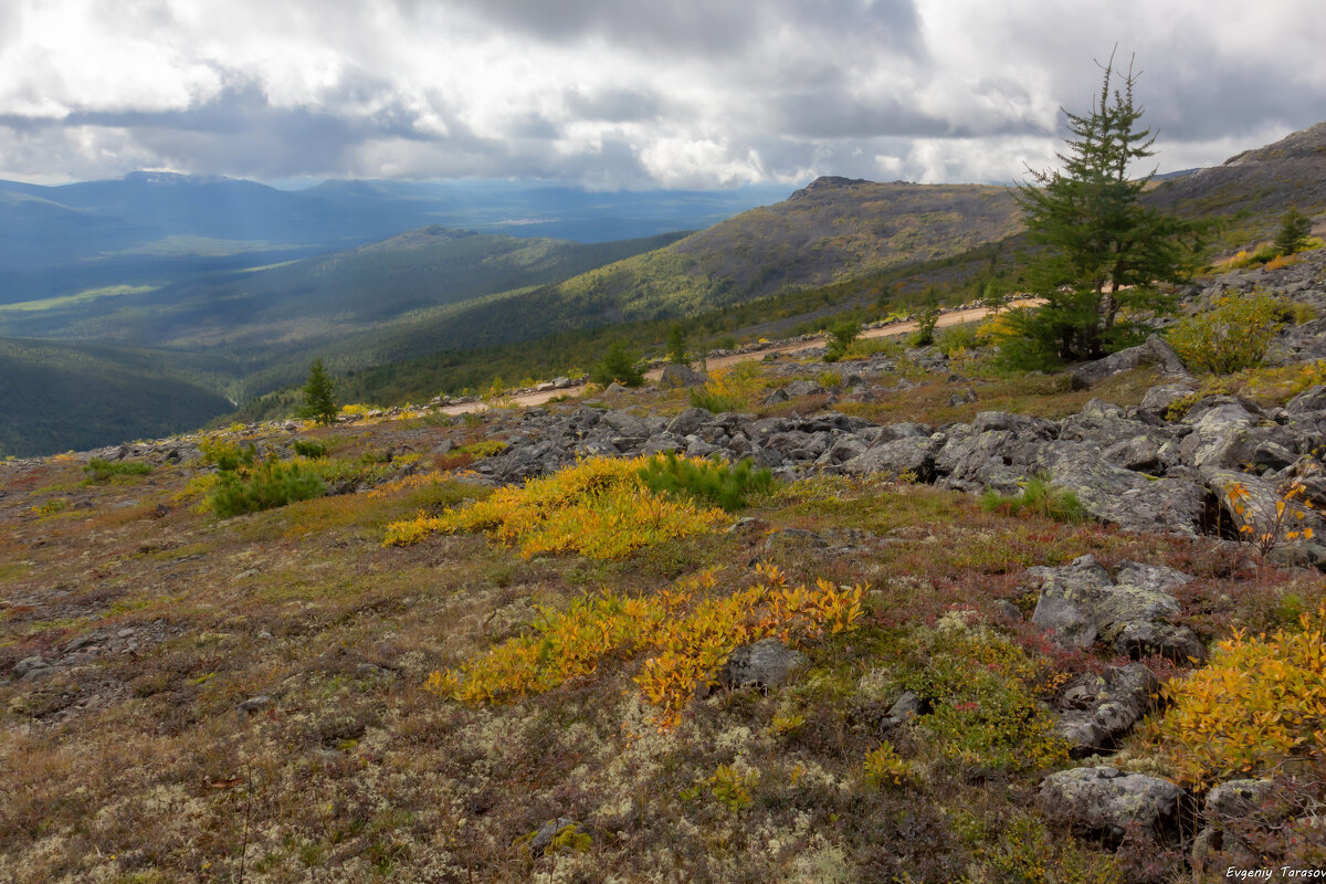 Краски осени - Евгений Тарасов 