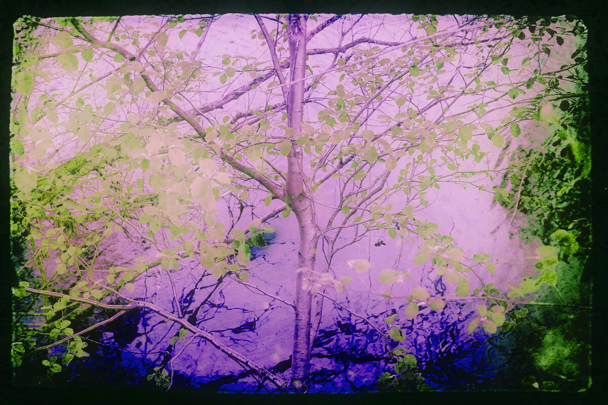 Назва. отсу. - Денис Безногов