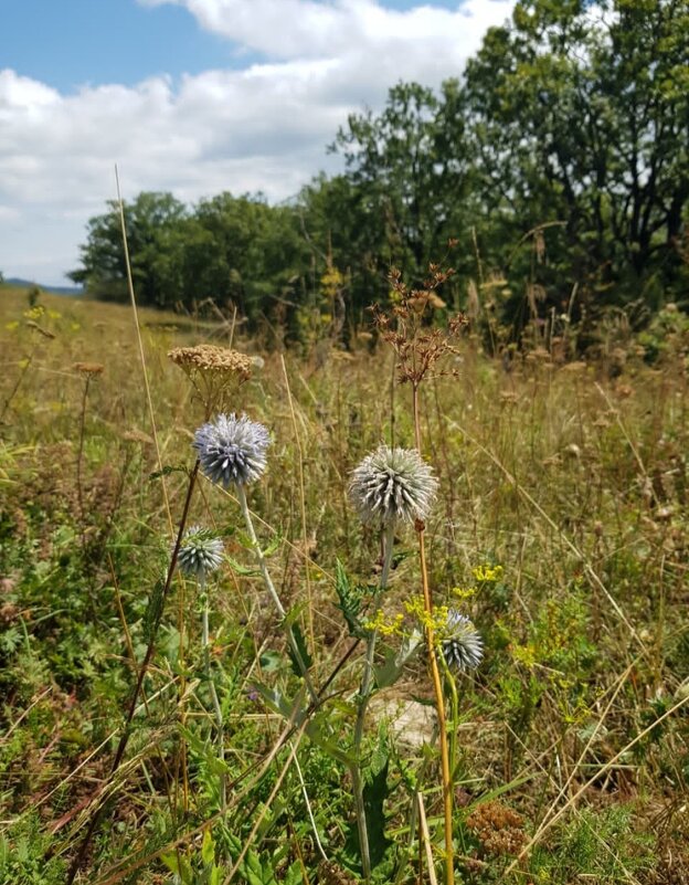 ПОХОД НА ЛАГО НАКИ - Tata Wolf