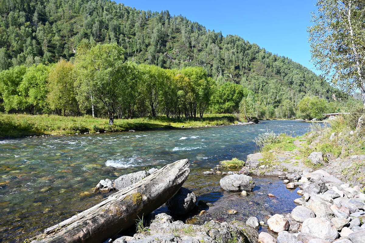 По р.Чемал. - Валерий Медведев