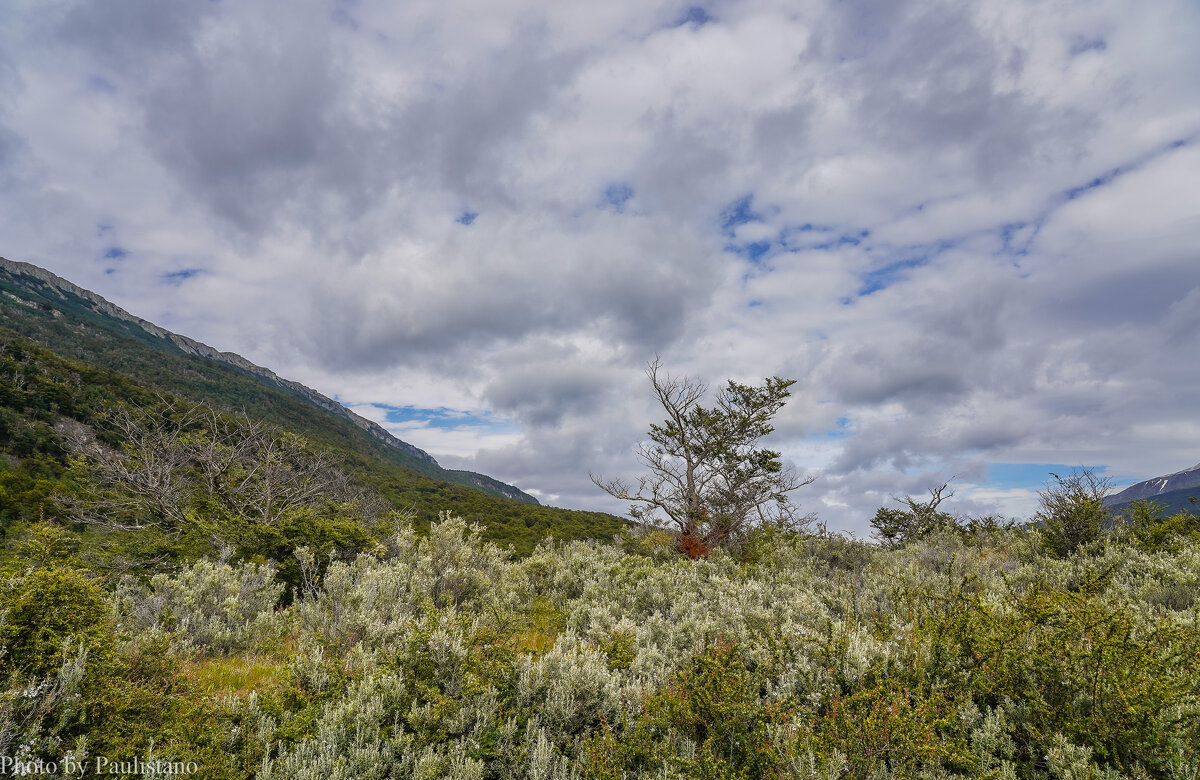 Под небом Огненной Земли... - Владимир Жданов