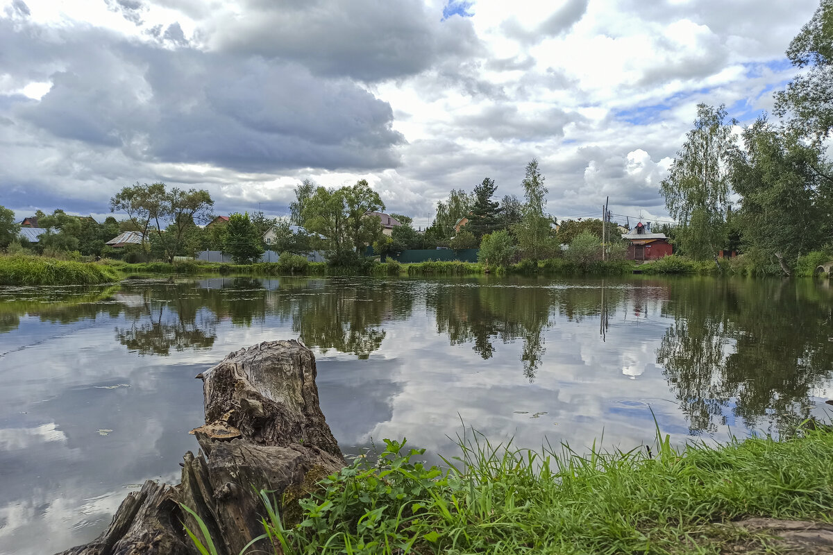 Сельский пруд. - Alexandr Gunin