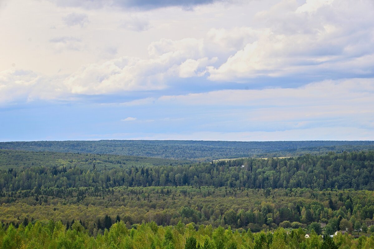 - - Владимир Мигонькин