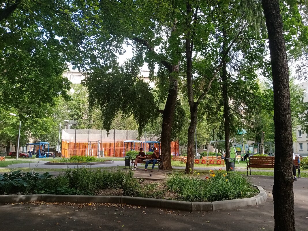 Мой двор. - Владимир Драгунский