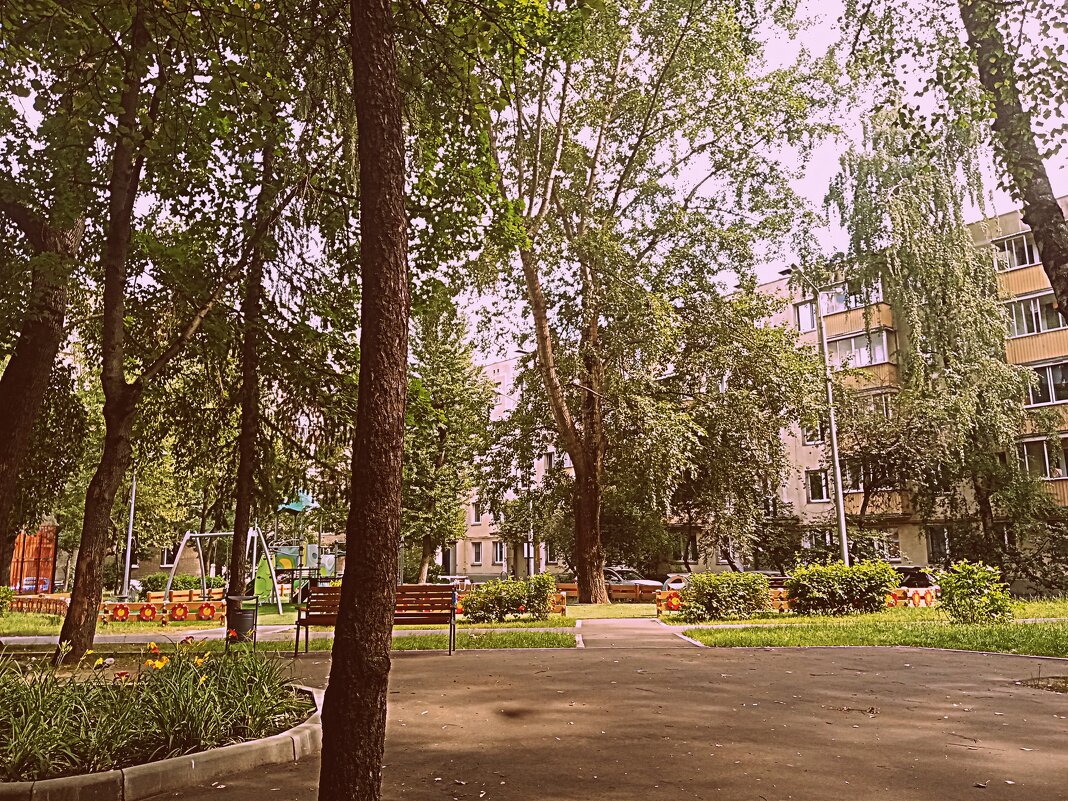 Мой двор. - Владимир Драгунский