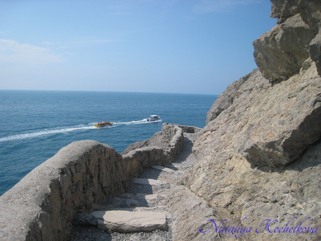 Природа Крыма - Amazing Cosmea