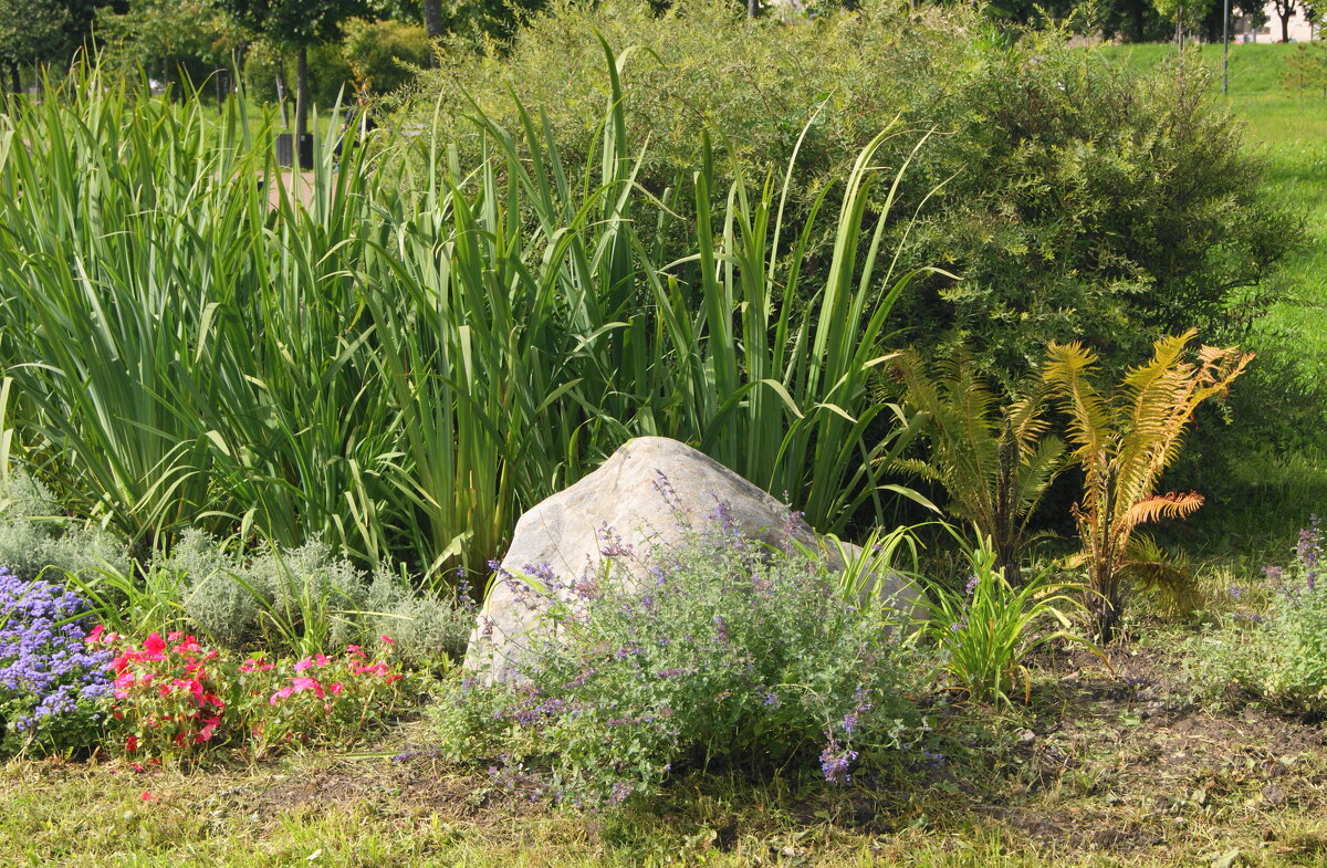 ОСЕННЕЕ - Виктор Никитенко