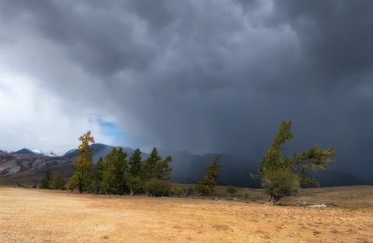 Приближение дождя - Марина Фомина.