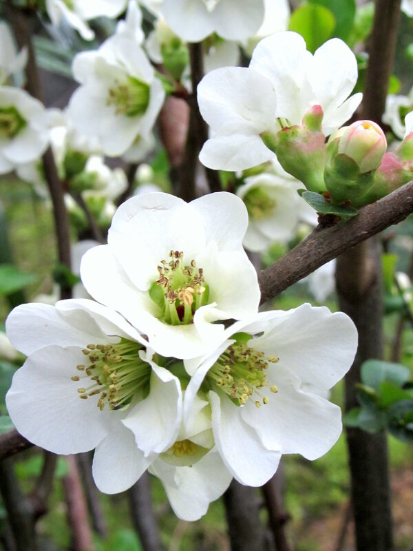 Лучше нету того свету ..... - Валерий 