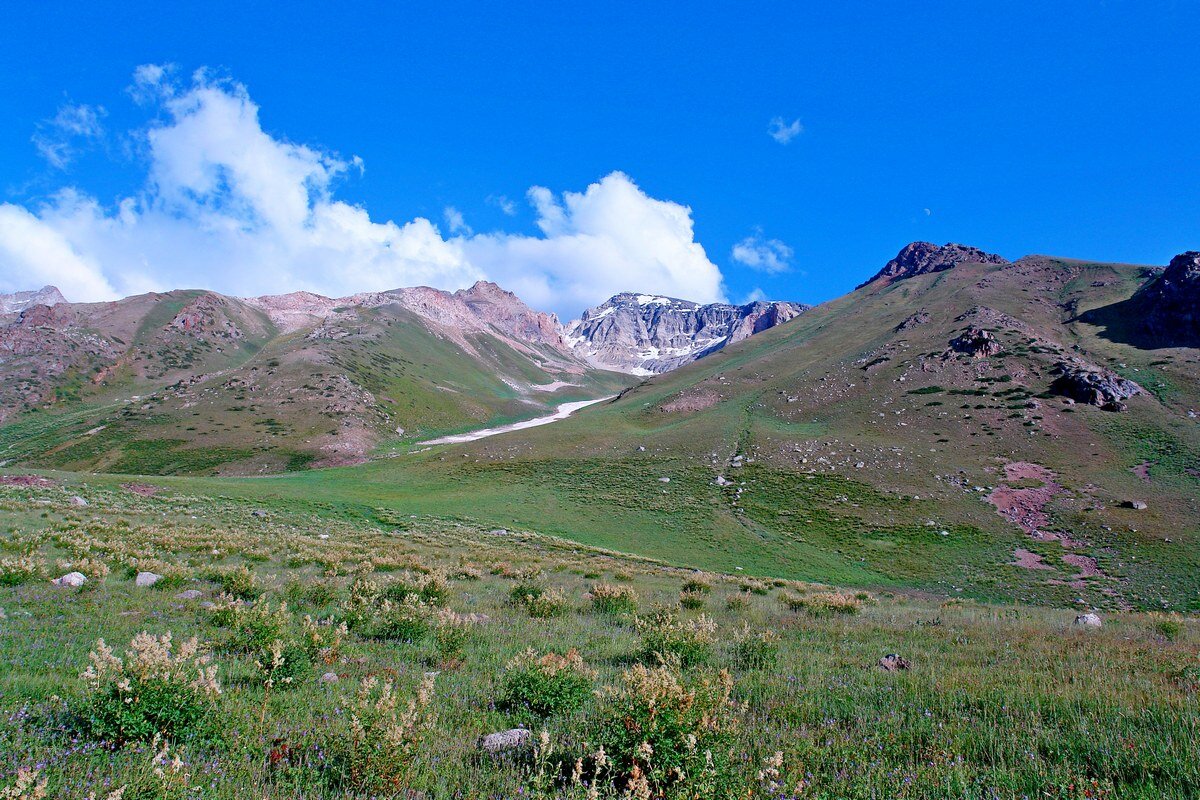 ПРИТОК ОЙГАИНГА. h- 2600м. - Виктор Осипчук