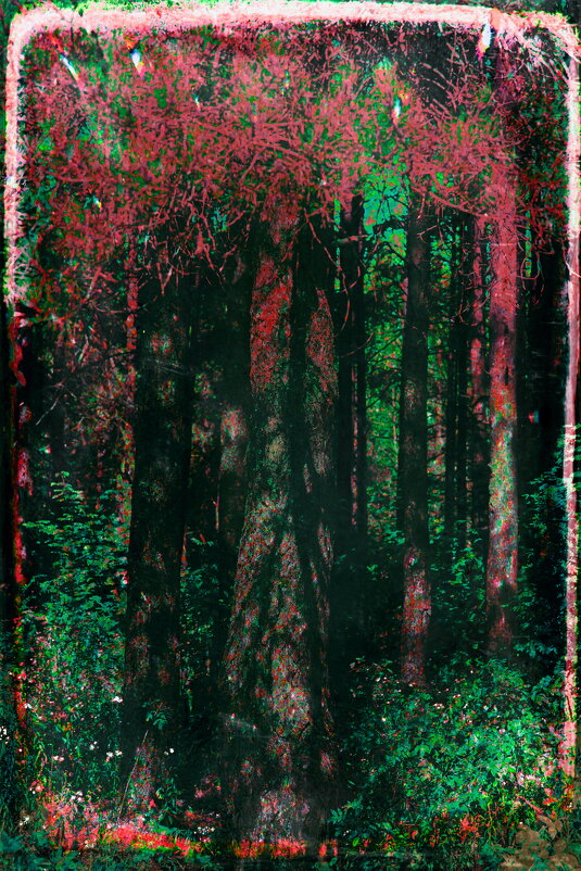 Назва. отсу. - Денис Безногов