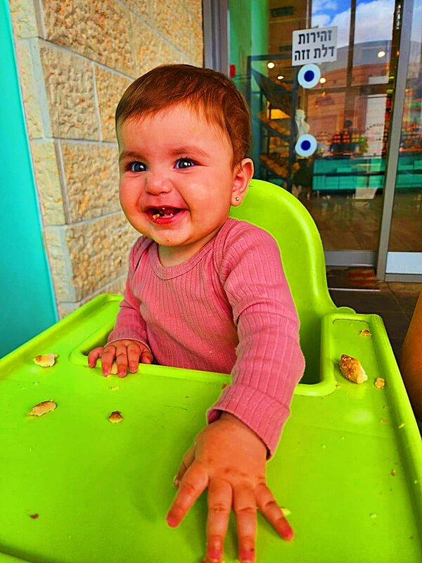 НЕСИ   ДЕСЕРТ - Анатолий Малобродский