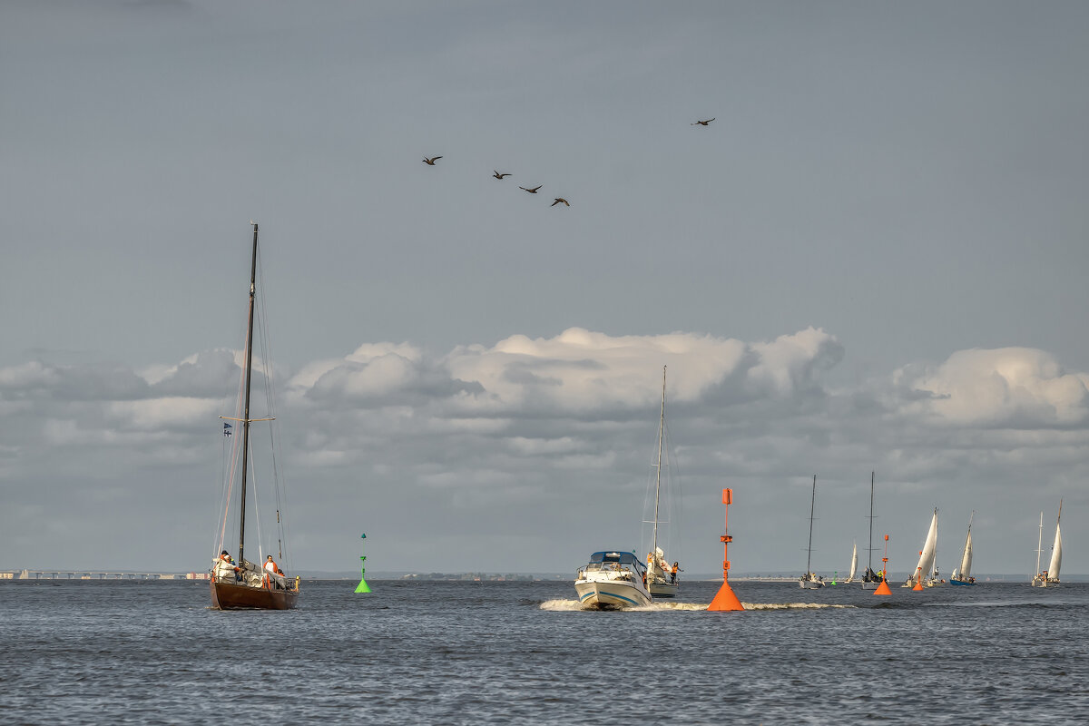Про Питер - Владимир Колесников