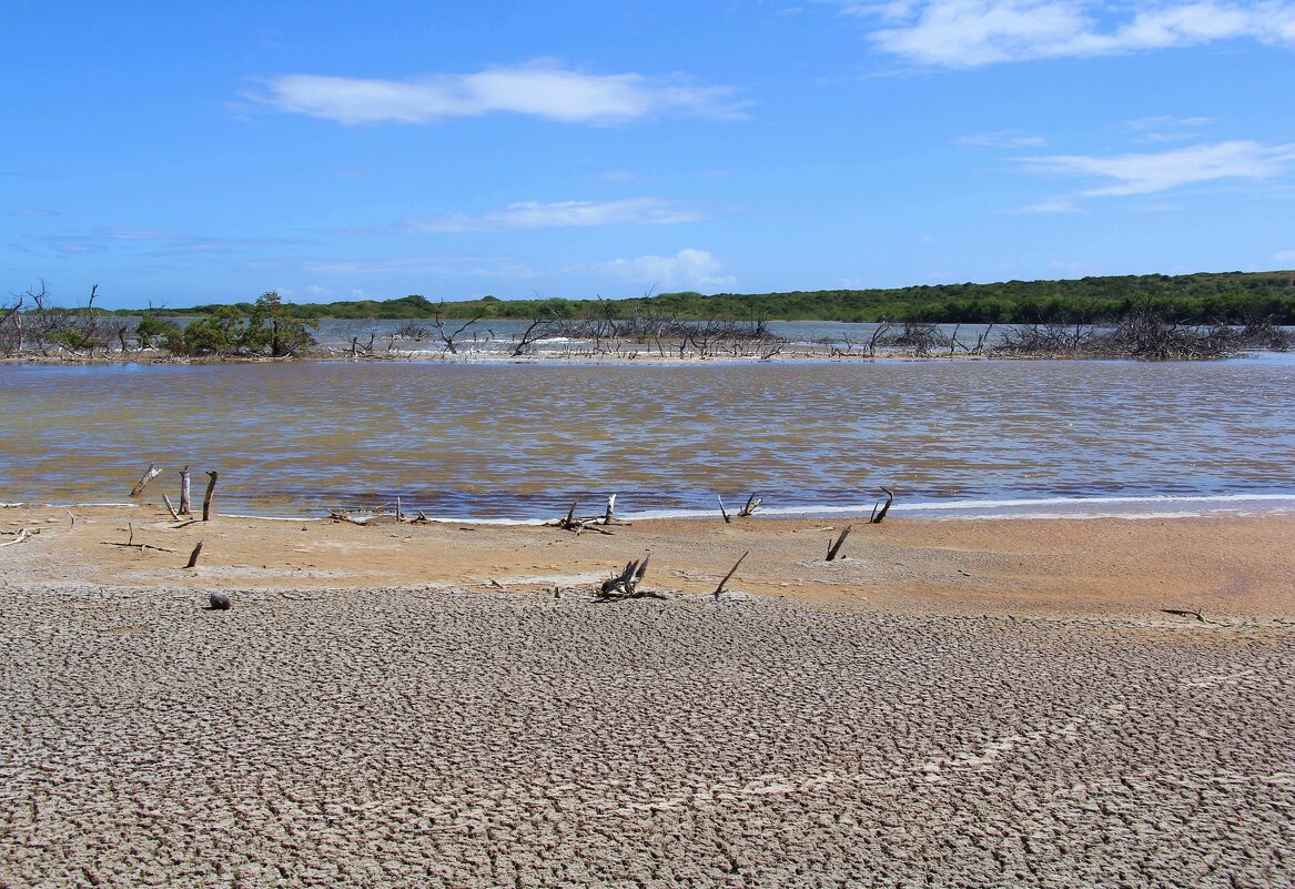 Солончаки Кабо-Рохо, Пуэрто-Рико, США. - unix (Илья Утропов)