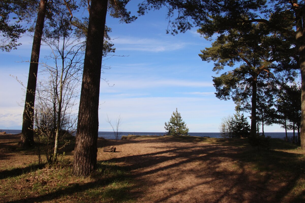 Ладожское Озеро - Наталья Герасимова