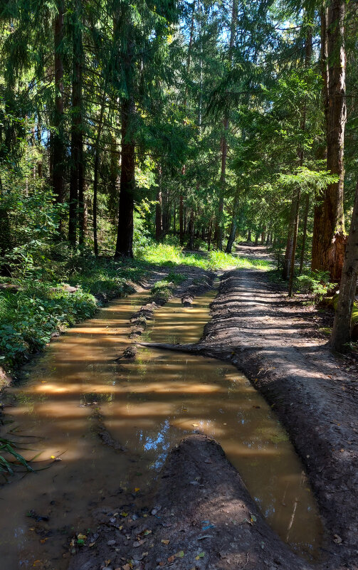 *** - Владимир Безбородов