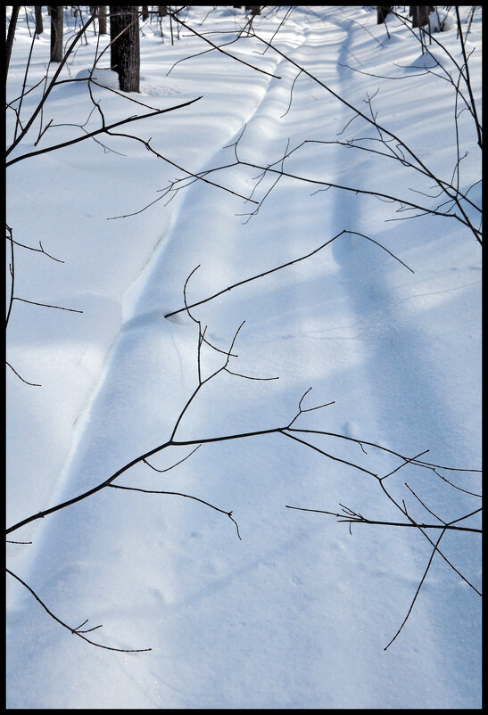 Дорога - **** vedin