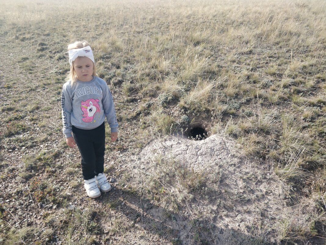 Искатель Марьяна. - Андрей Хлопонин