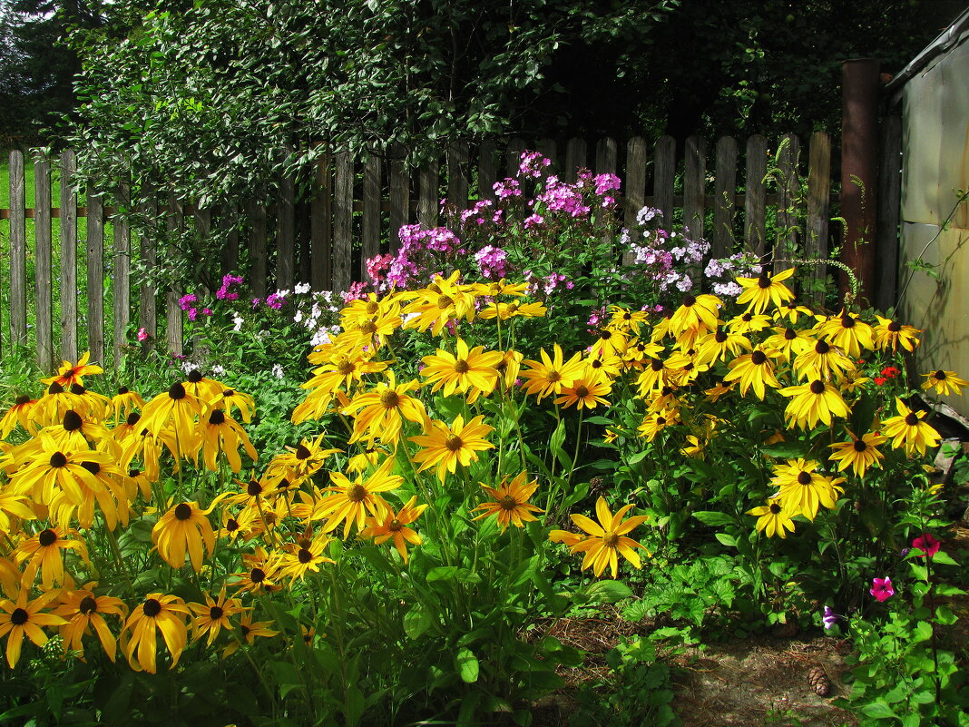 В саду - Людмила Смородинская