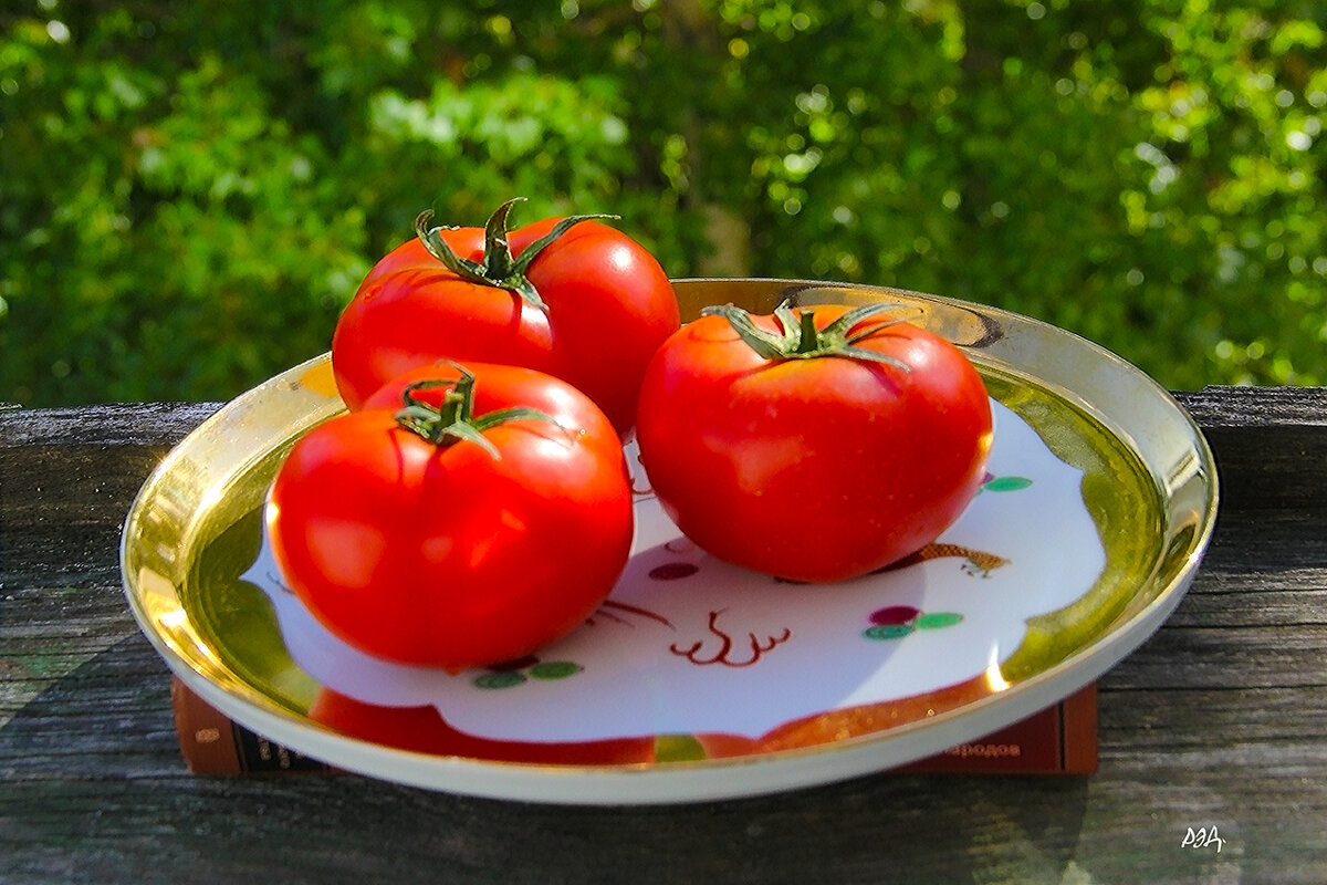 *** - Роланд Дубровский