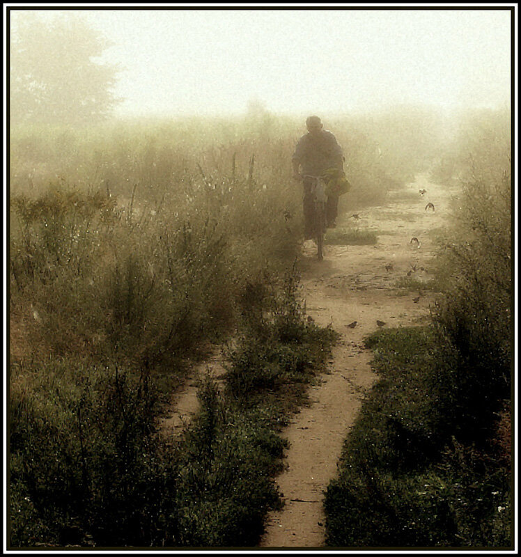 утро - Aleksandr Gal