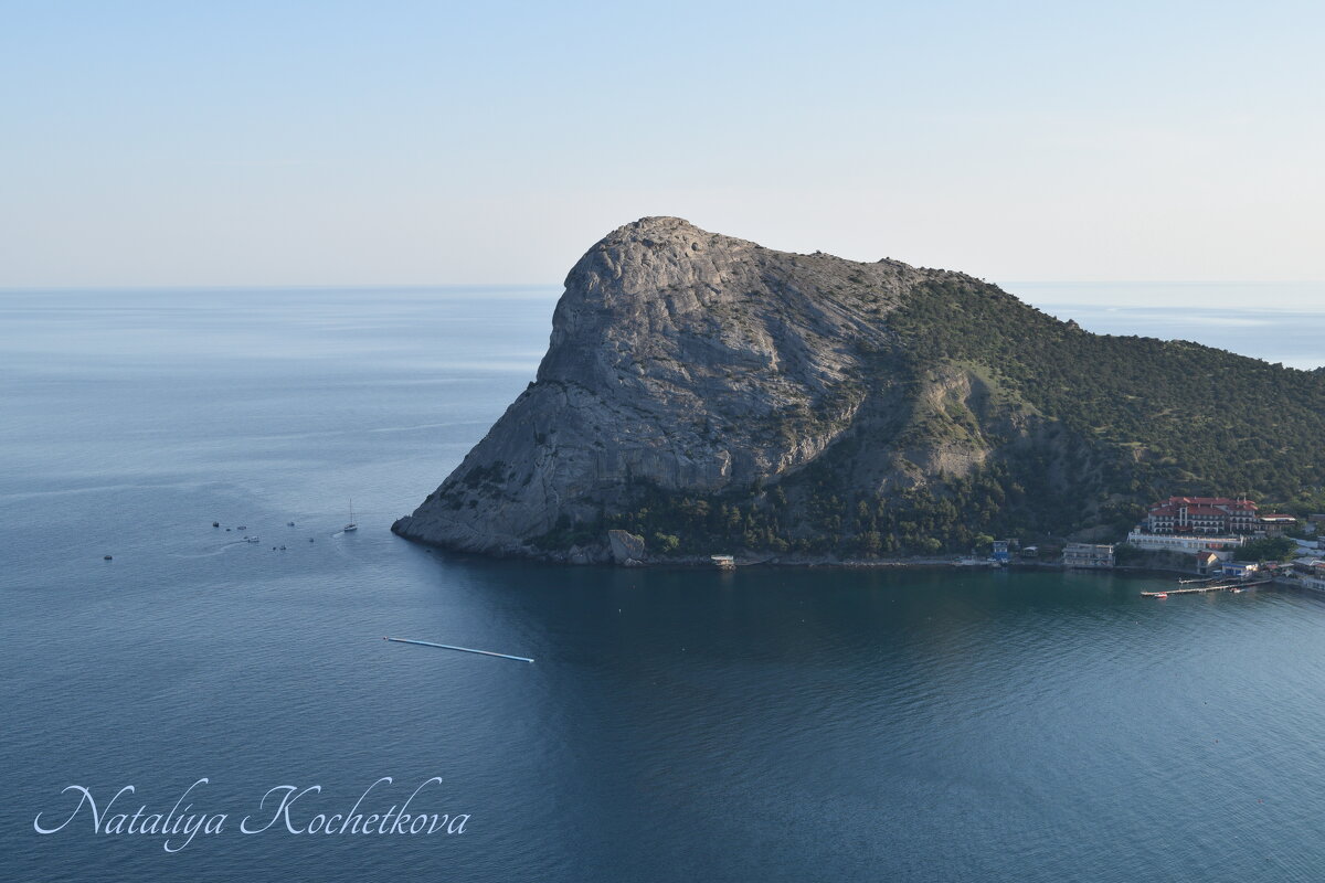 Природа Крыма - Amazing Cosmea