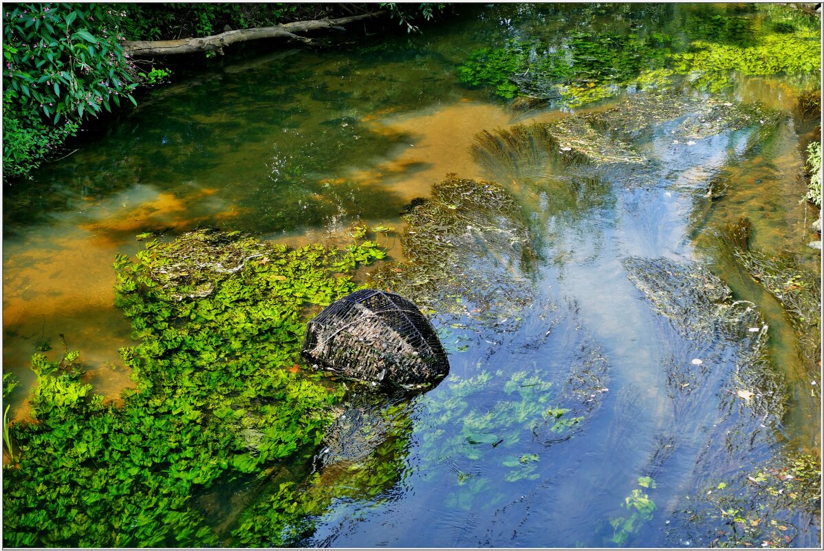 ЗТЮД... - Elvira E. 