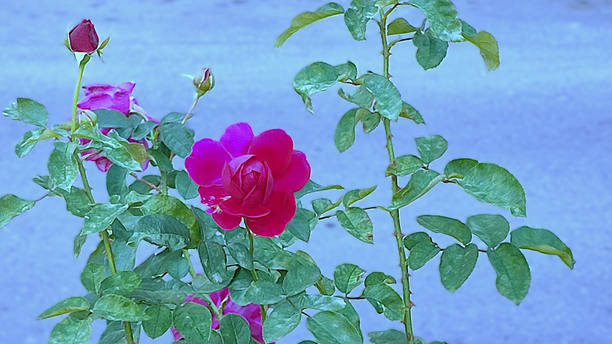 ,,, - Сергей Тимоновский