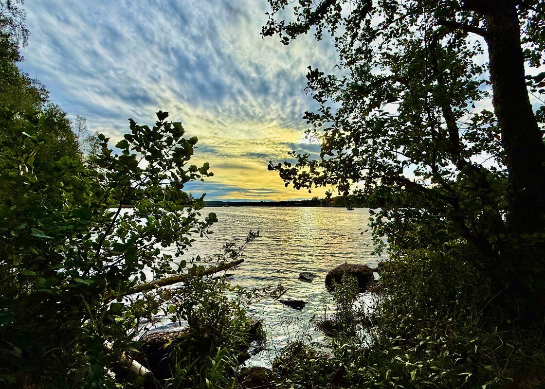 На берегу залива - Сергей Б. На берегу залива - Сергей Б.