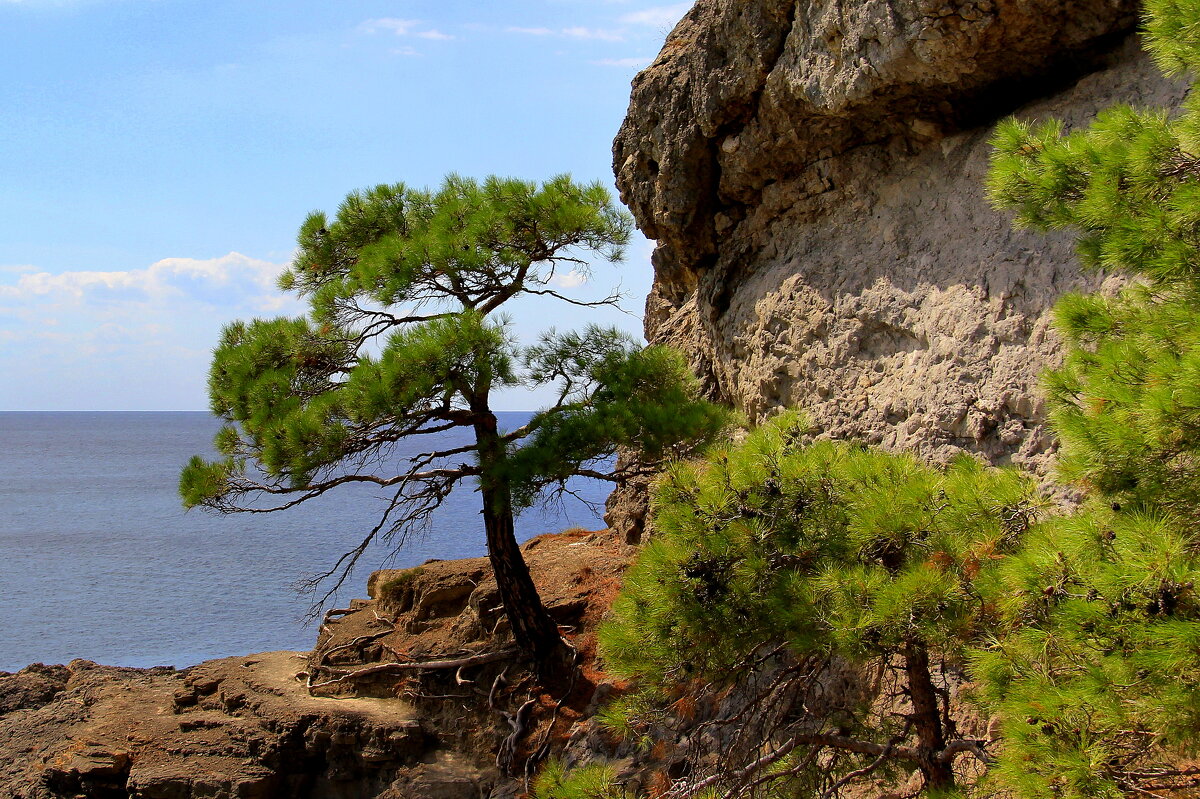 ** - Vlad Сергиевич